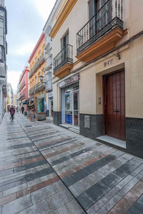 Estudio Calle Banos Séville